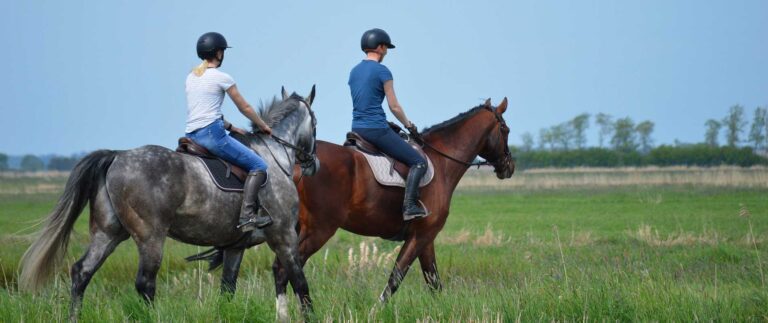 equitation vendée