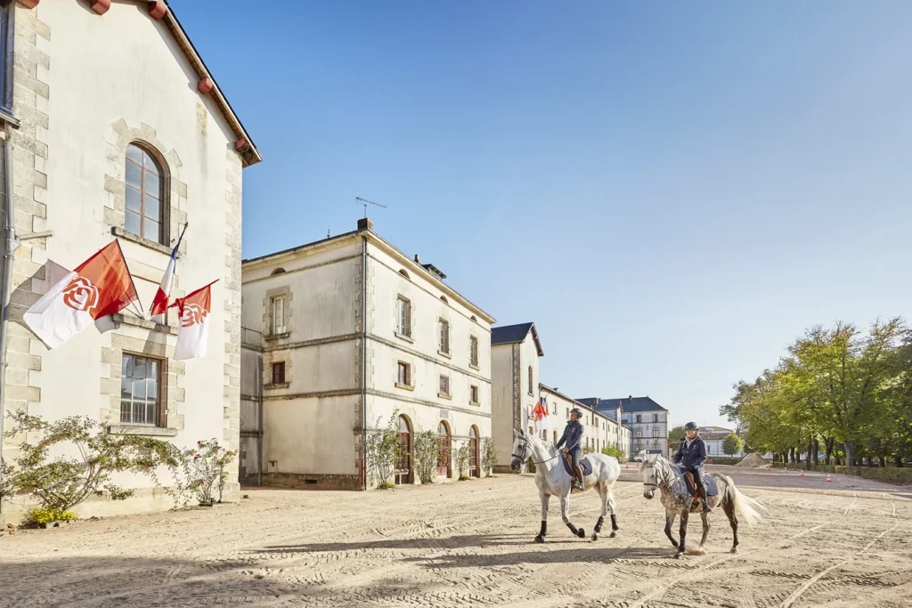 Visitez haras de la vendée