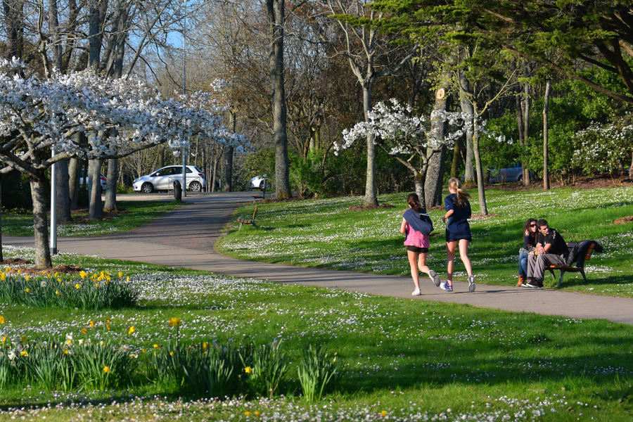 parc charruyer ouvert nà tous la rochelle