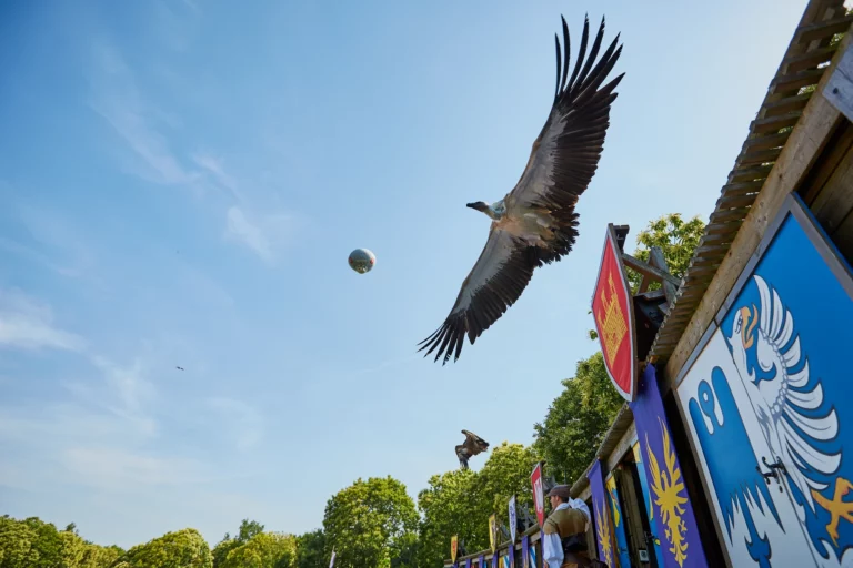 Le Bal des Oiseaux Fantomes Stephane Audran