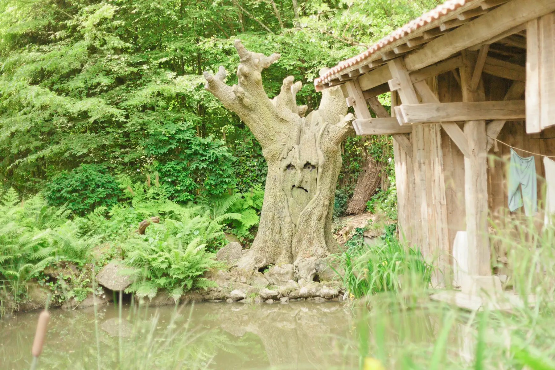 Puy du fou foret