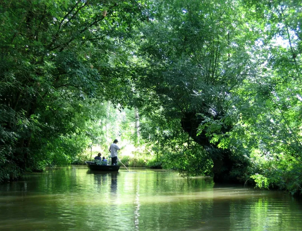 reserve naturelle à visiter michel brosselin vendée poitevin