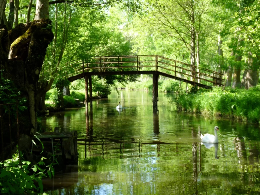 Marais poitevin ballade en famille