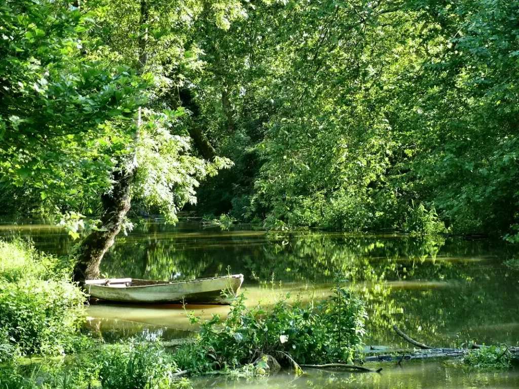 Marais poitevin family outing summer vendee