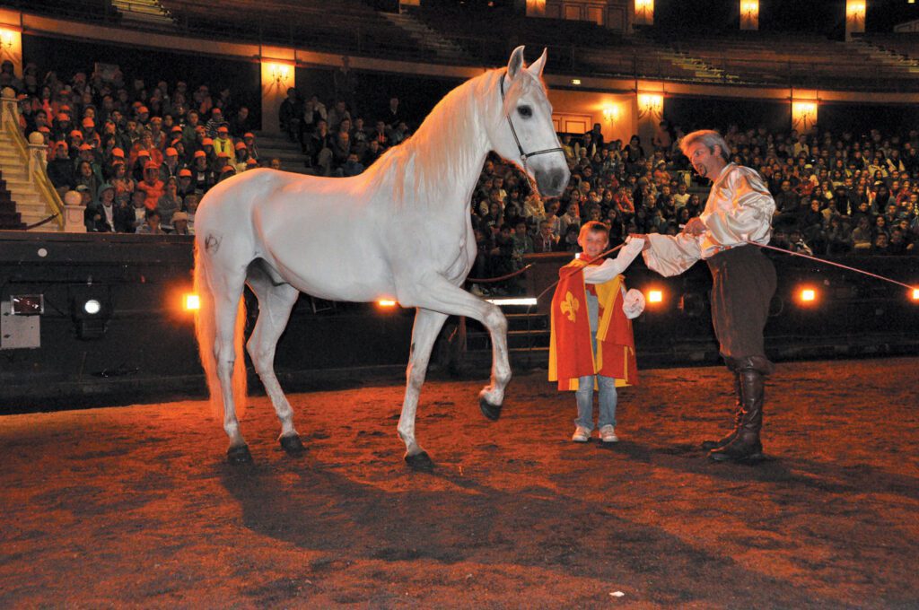 chevaux spectacles atelier pedagogique