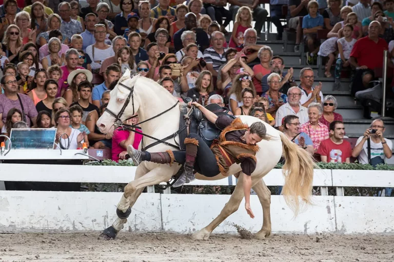 spectacle haras vendee