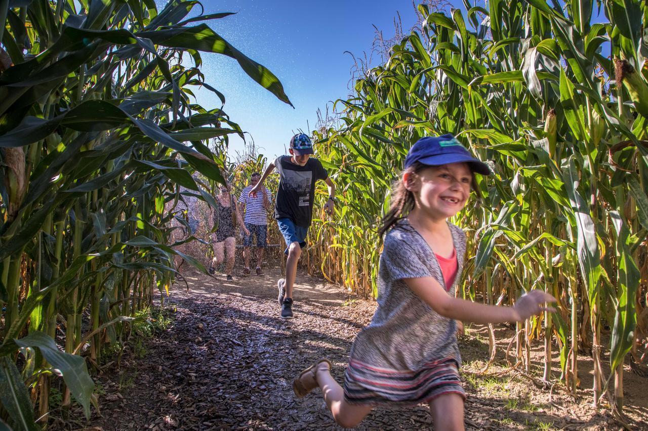 labyrinthe vendee vallee