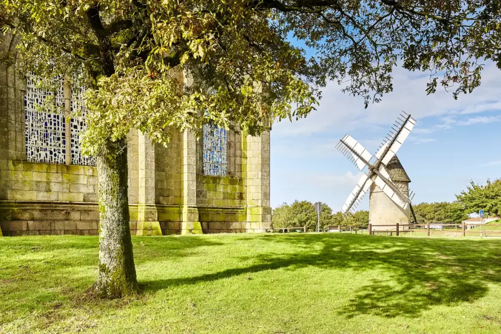 mont des alouettes