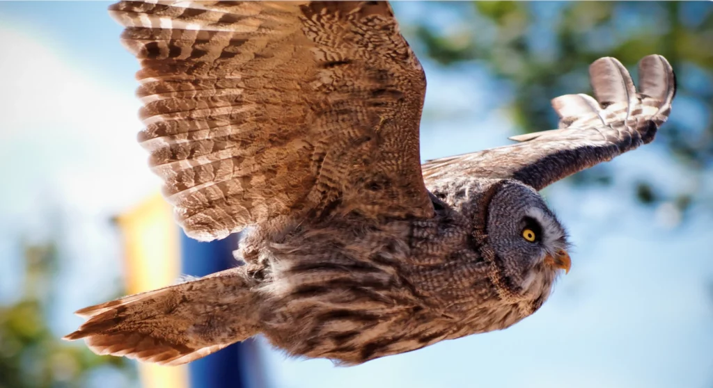 puy du fou vendee gezinsvakantie