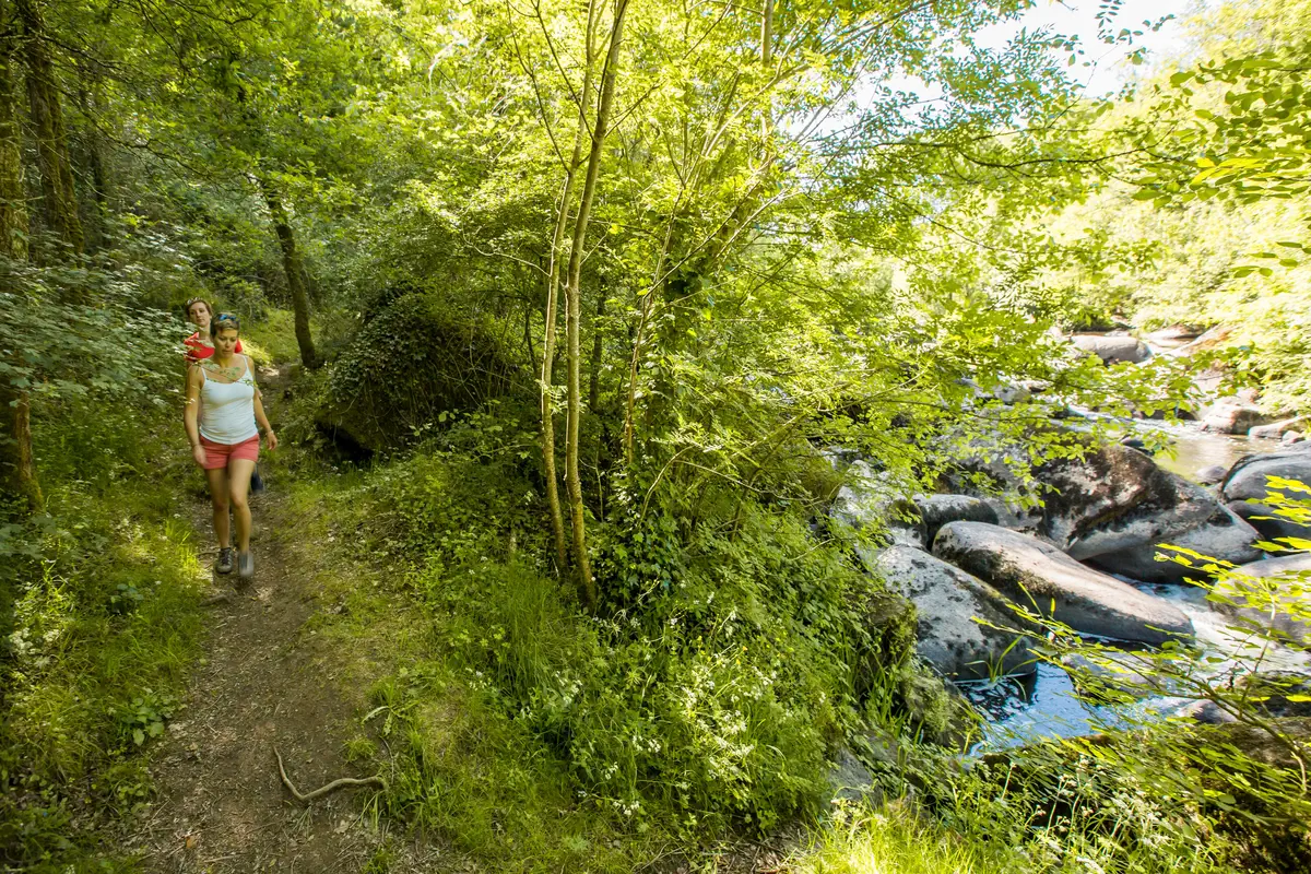 Randonnée dans le bocage vendéen près du camping