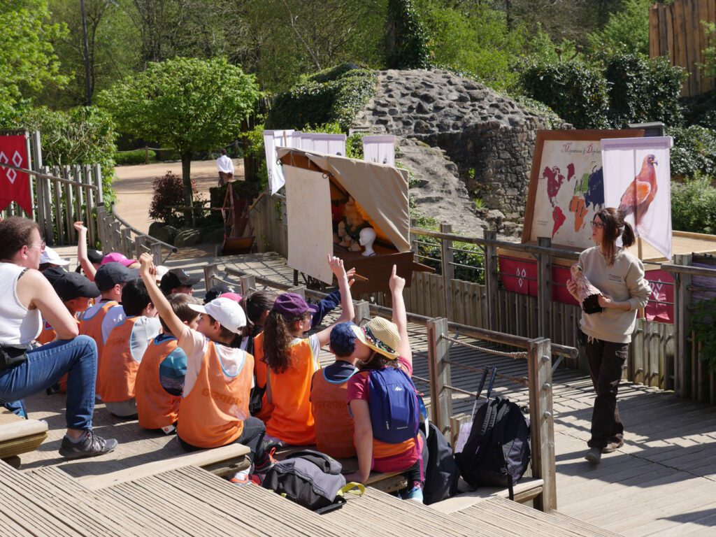 rapace ateliers pedagogiques