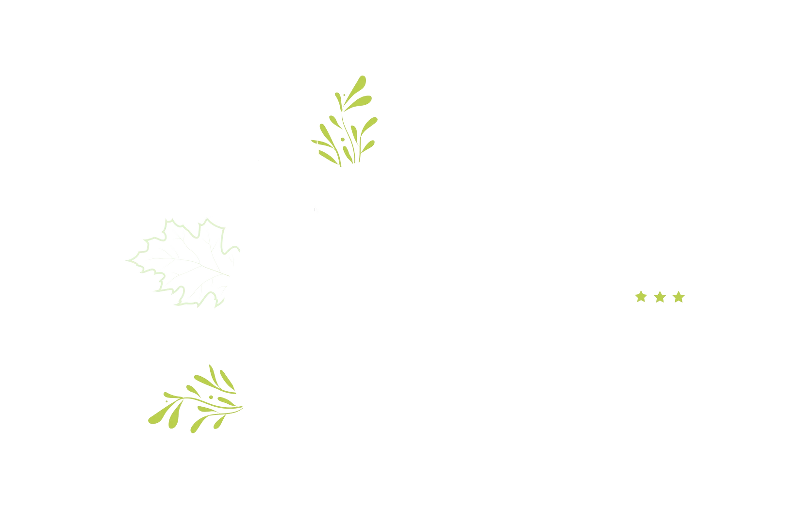 Camping du Lac de la Chausselière