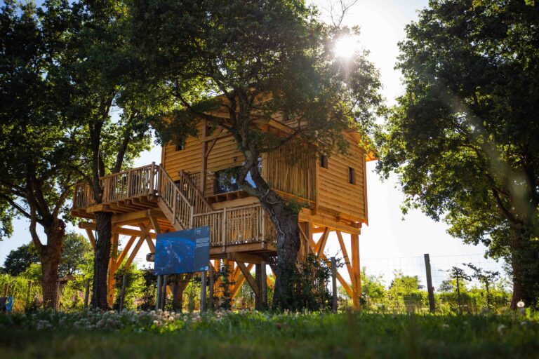 cabane dans les arbres en Vendée