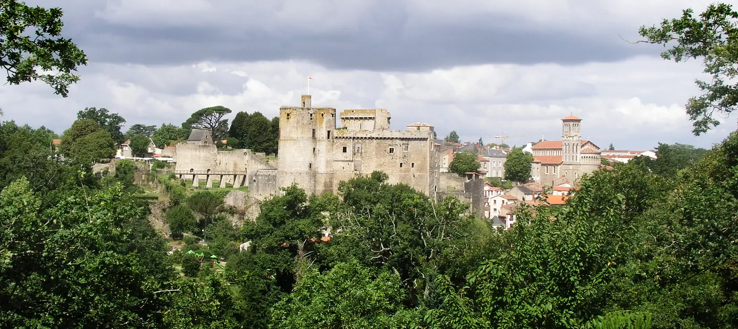 le chateau de clisson en vendée vue depuis la forêt à côté