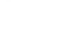 ANCV