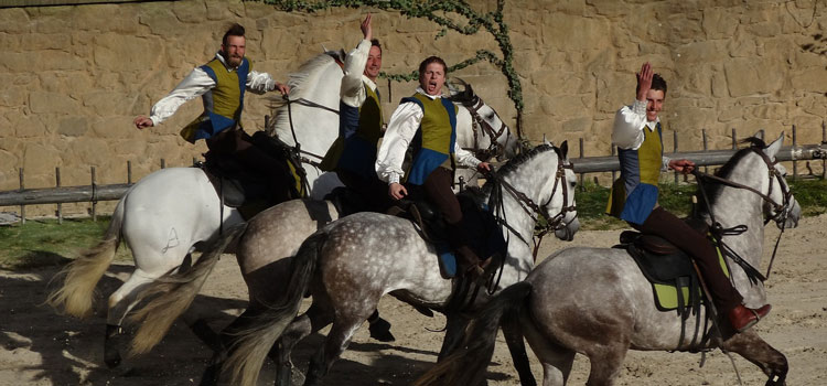 Les spectacles à ne pas manquer au Puy du Fou