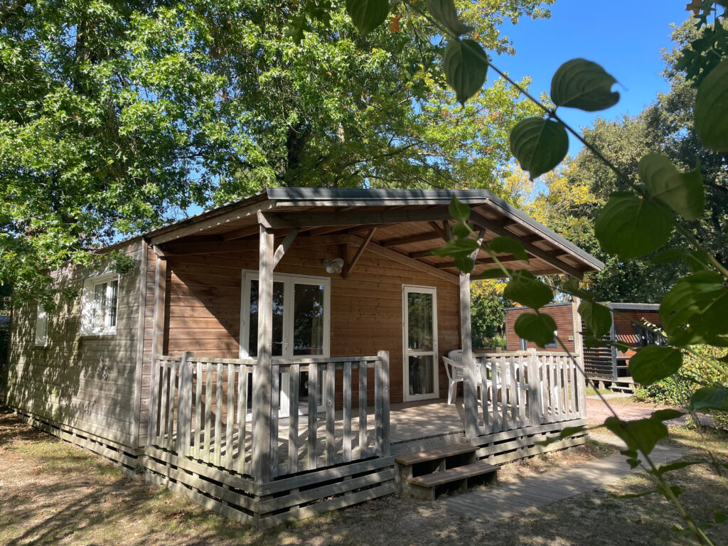 Premium Chalet 42m² 4/6 p. (2 kamers) + overdekt terras