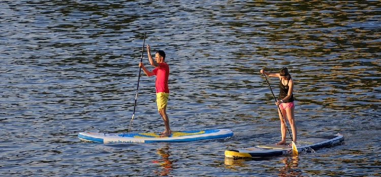 activité autour du lac de la Bultière en Vendée