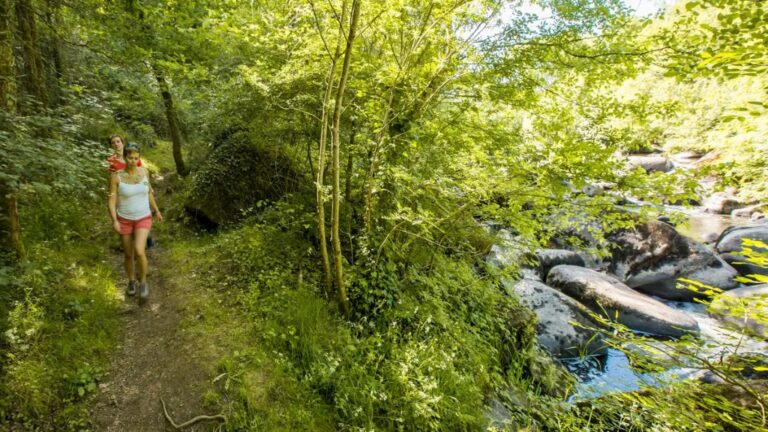 sentier de la bataille de Torfou près du camping