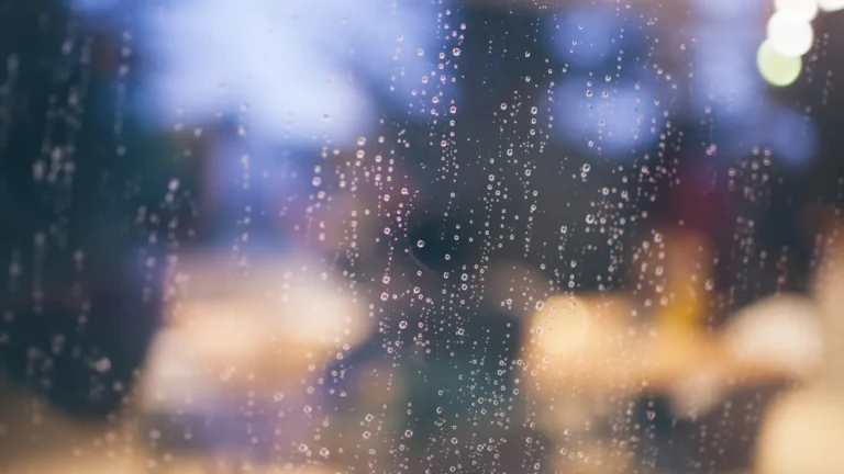 Jour de pluie près de Montaigu, sorties à l’abri près du camping